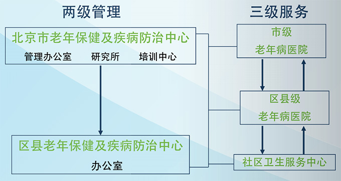 老年健康服務體系結構.jpg
