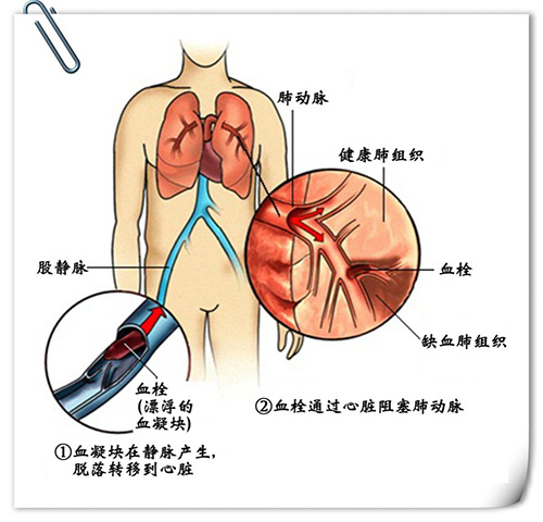 圖片5.jpg