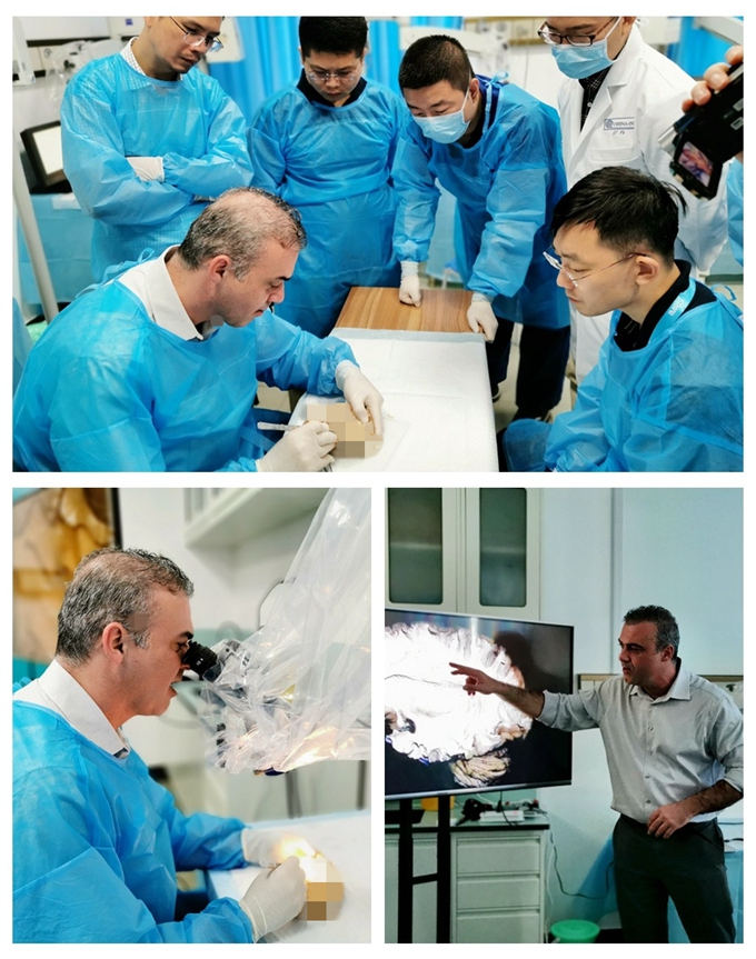 纖維束解剖展示教學(xué).jpg