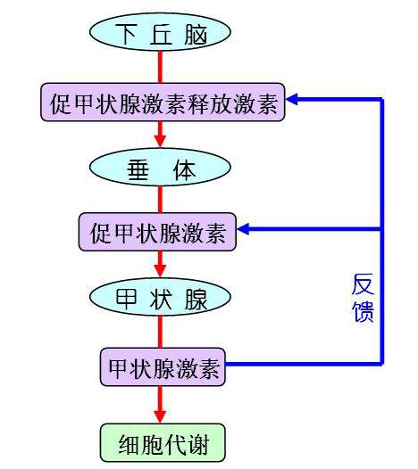 圖片20.jpg