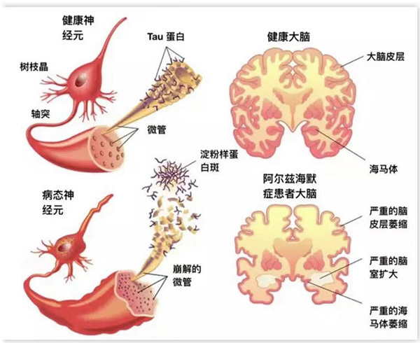 圖片5.jpg