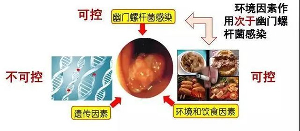 圖片27.jpg