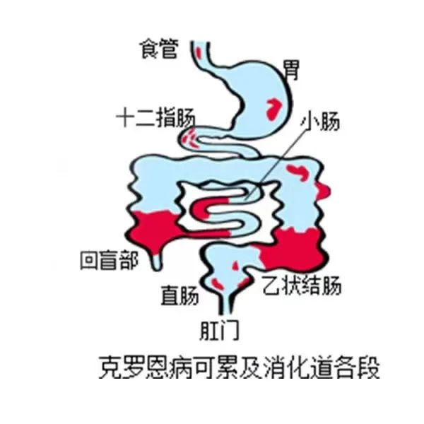 圖片10.jpg