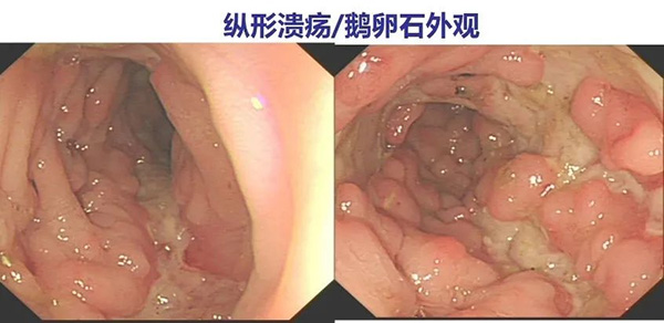 圖片13.jpg