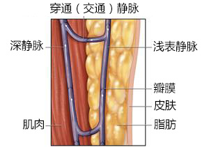 圖片3.jpg