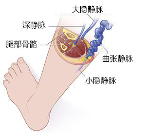 圖片4.jpg