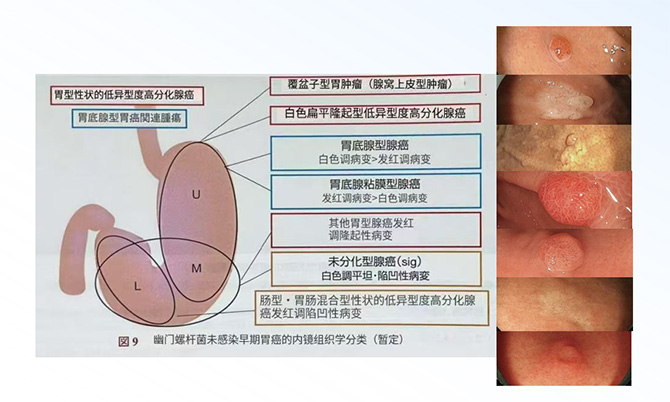 圖片8.jpg